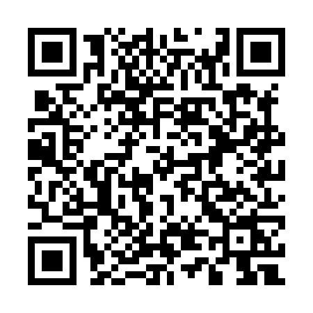 QR code for 541X