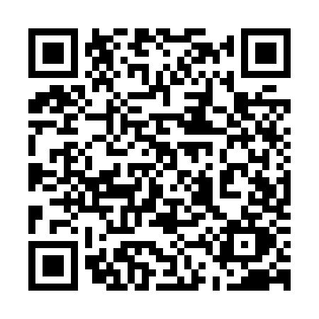 QR code for 541Z