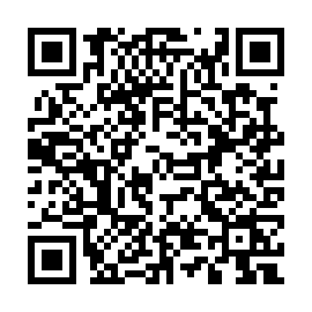QR code for 542P