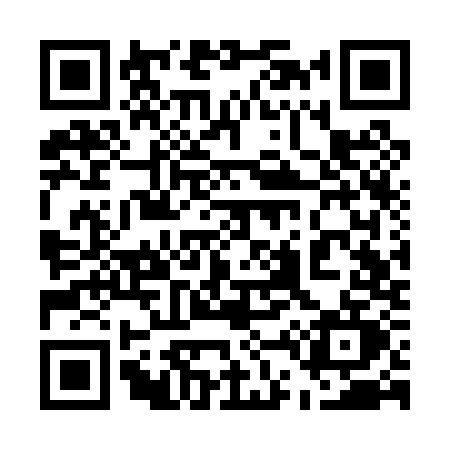 QR code for 543P