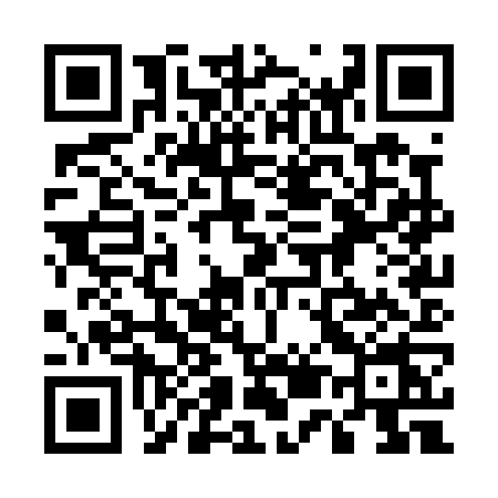 QR code for 550P