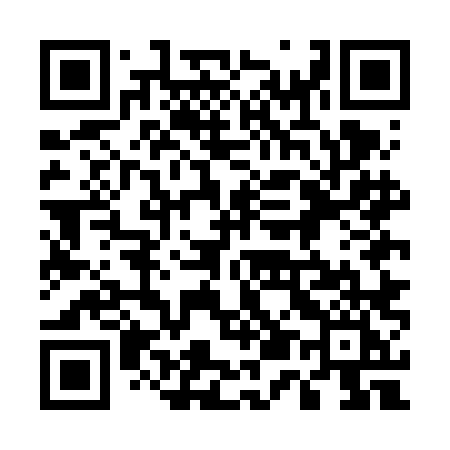 QR code for 555FLI