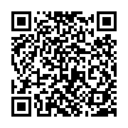 QR code for 593DYI