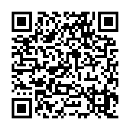 QR code for 593IR