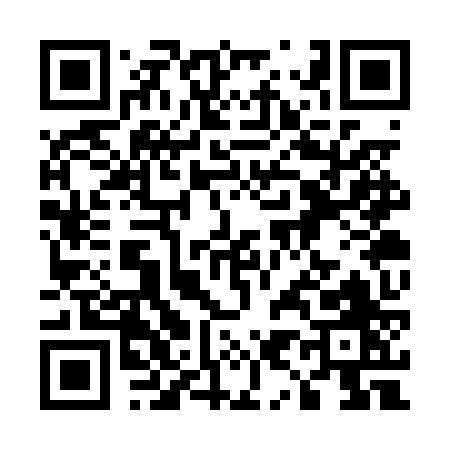 QR code for 593PZ