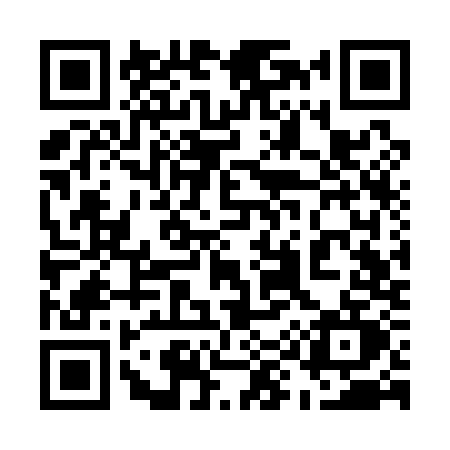 QR code for 593Q