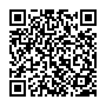 QR code for 595MMI