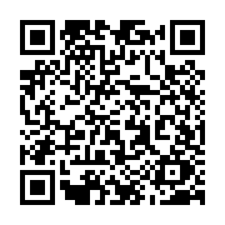QR code for 595P