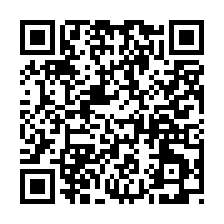 QR code for 595PO