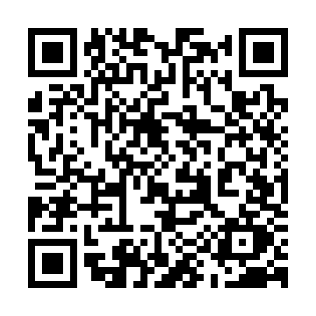QR code for 595S