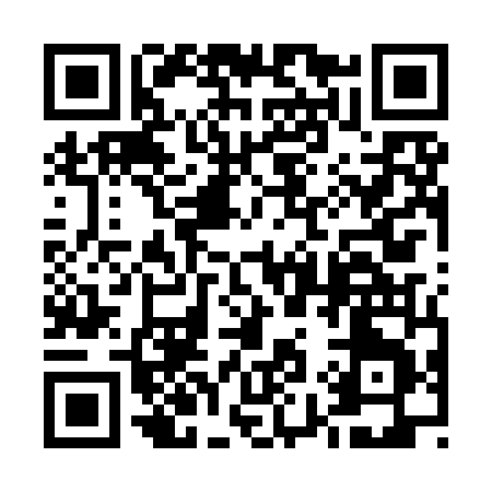 QR code for 599IN
