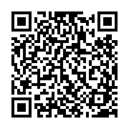 QR code for 599TDK
