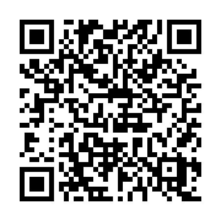 QR code for 601PFX