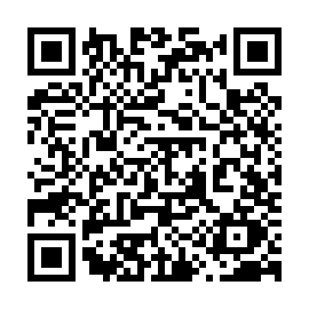 QR code for 613P