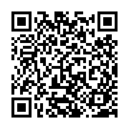 QR code for 613TUO