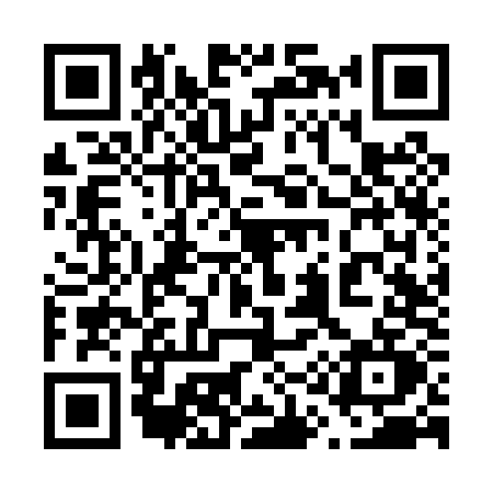 QR code for 616P