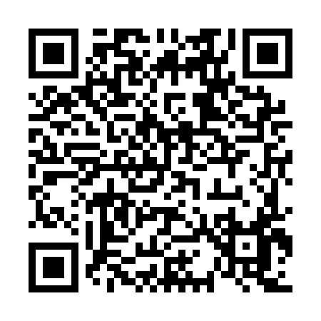 QR code for 618AI