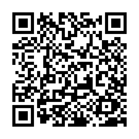 QR code for 618P