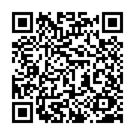 QR code for 619P