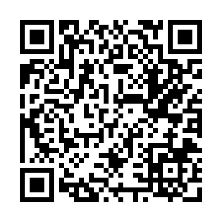 QR code for 638NZ