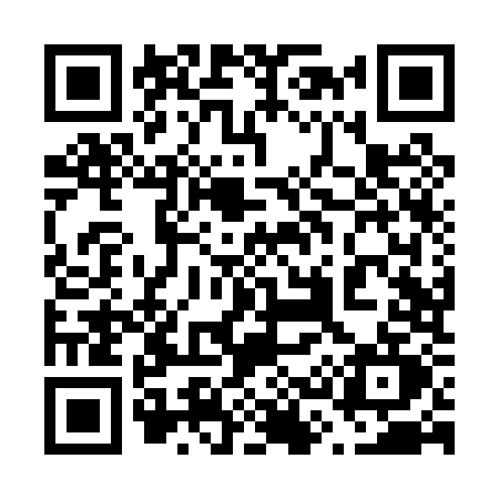 QR code for 638P