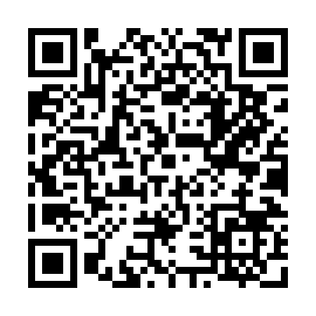 QR code for 638PN