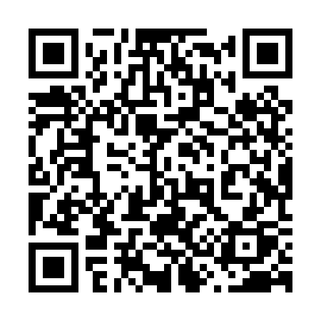 QR code for 638PSP