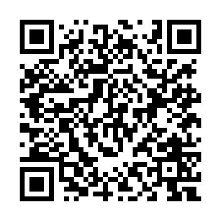 QR code for 641LO