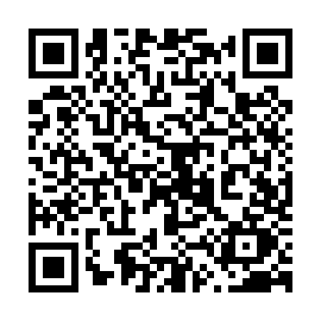 QR code for 641P
