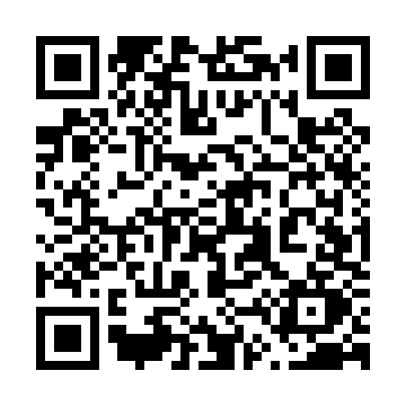 QR code for 645P