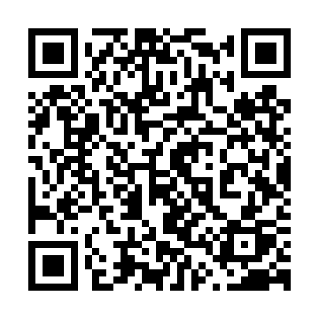 QR code for 646TSP