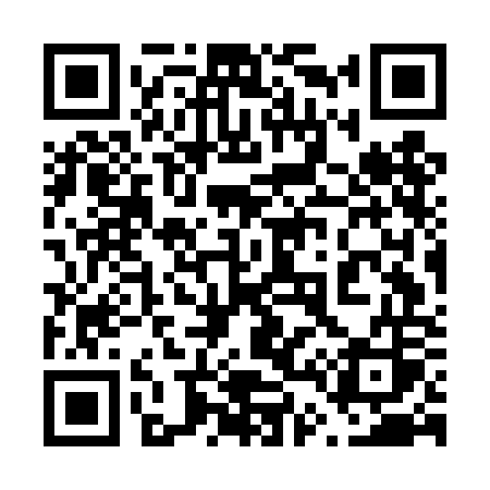 QR code for 647DOS