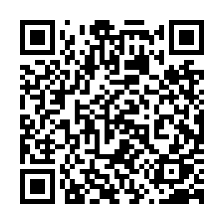 QR code for 650NQP