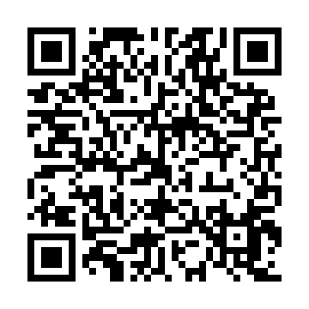 QR code for 653IA