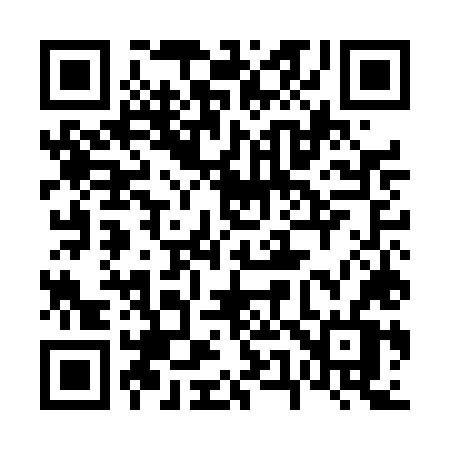 QR code for 655DLV