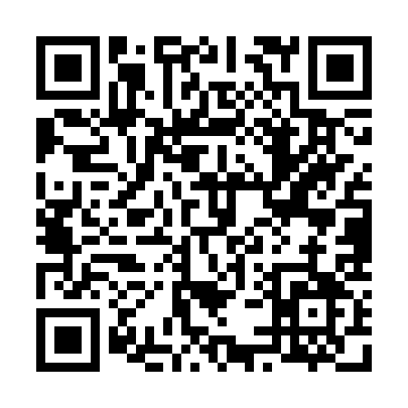 QR code for 655SS