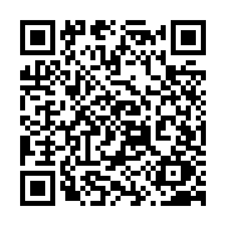 QR code for 655Z