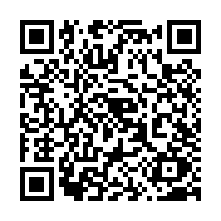 QR code for 656P