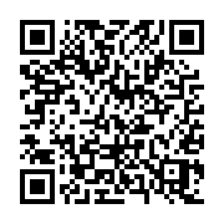 QR code for 656PUP