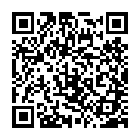 QR code for 666TLI