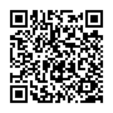 QR code for 666V