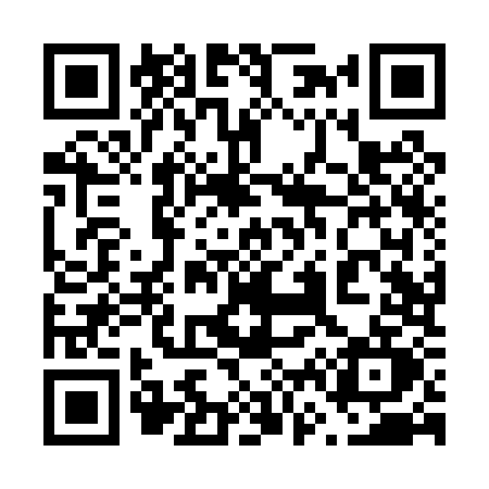 QR code for 668P