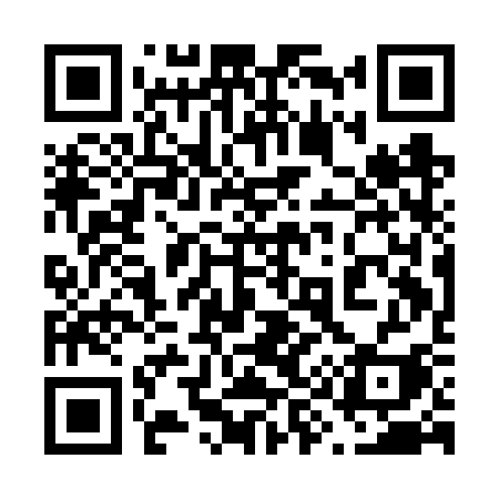 QR code for 691FSI