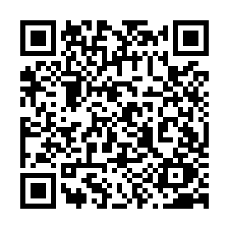 QR code for 691O