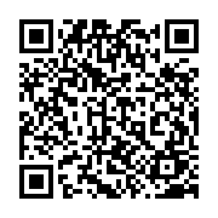 QR code for 699IGT