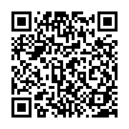 QR code for 699IPI