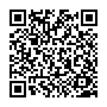 QR code for 699X