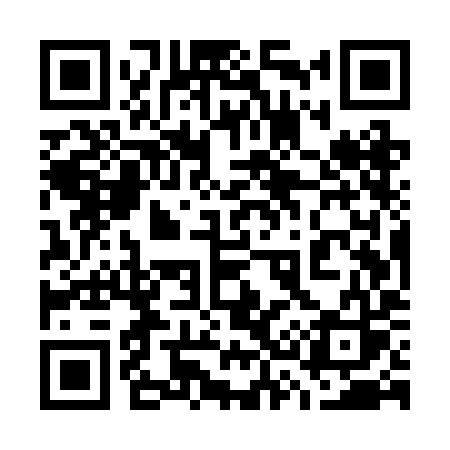 QR code for 735RIS