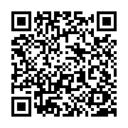 QR code for 737L