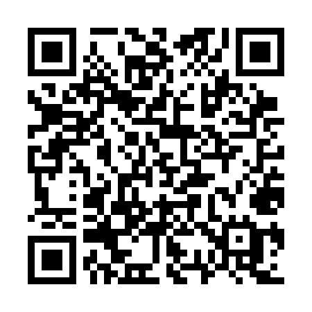 QR code for 737SME